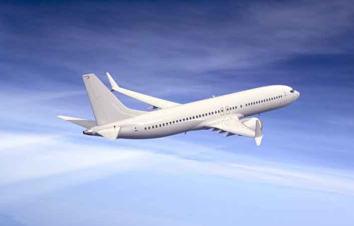 magic mushroom to attack United flight